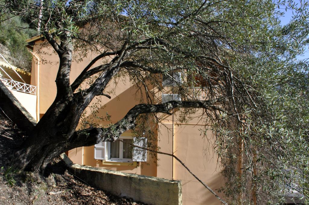 Stella'S Apartments Agios Gordios  Exterior photo