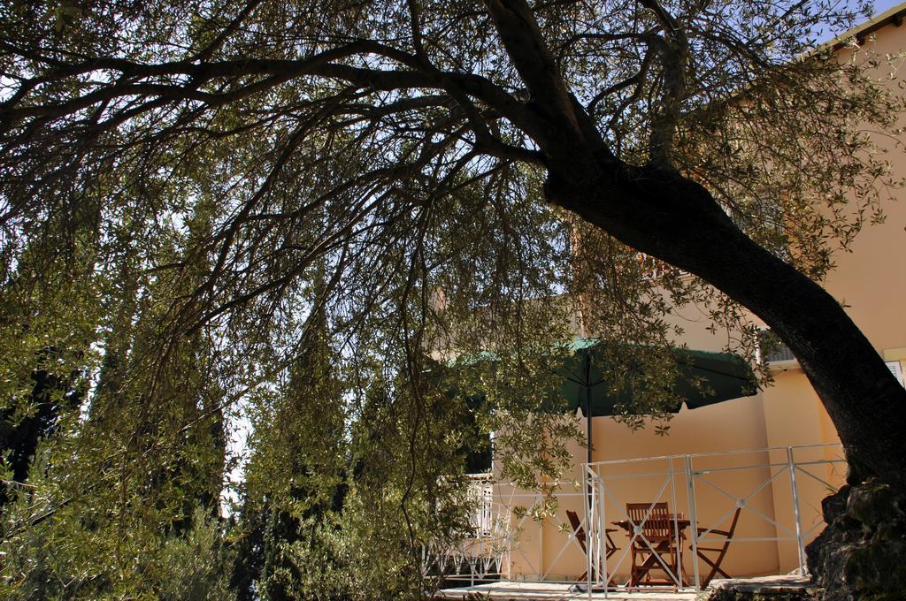 Stella'S Apartments Agios Gordios  Exterior photo